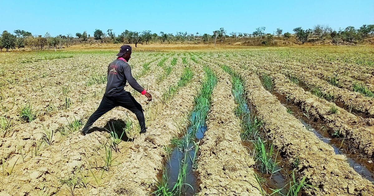 Agriculture